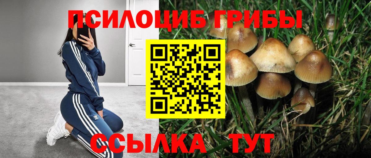 Галлюциногенные грибы GOLDEN TEACHER  Вход с VPN  Минусинск 
