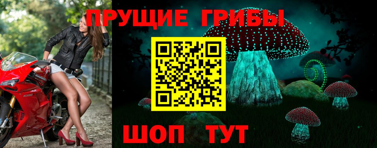 Галлюциногенные грибы прущие грибы Минусинск